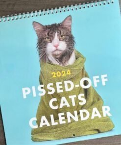 😾 Calendario de gatos enfadados 2024